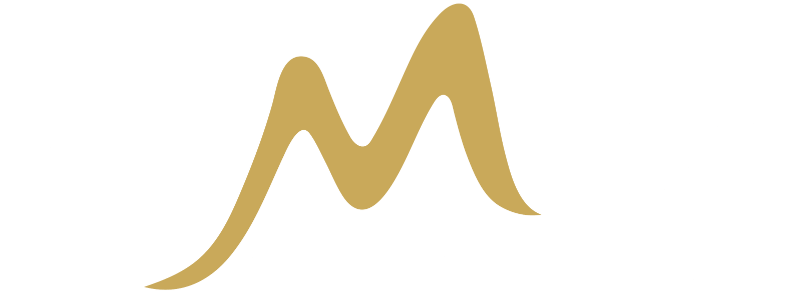 Pemba Gold Mine Co. Ltd
